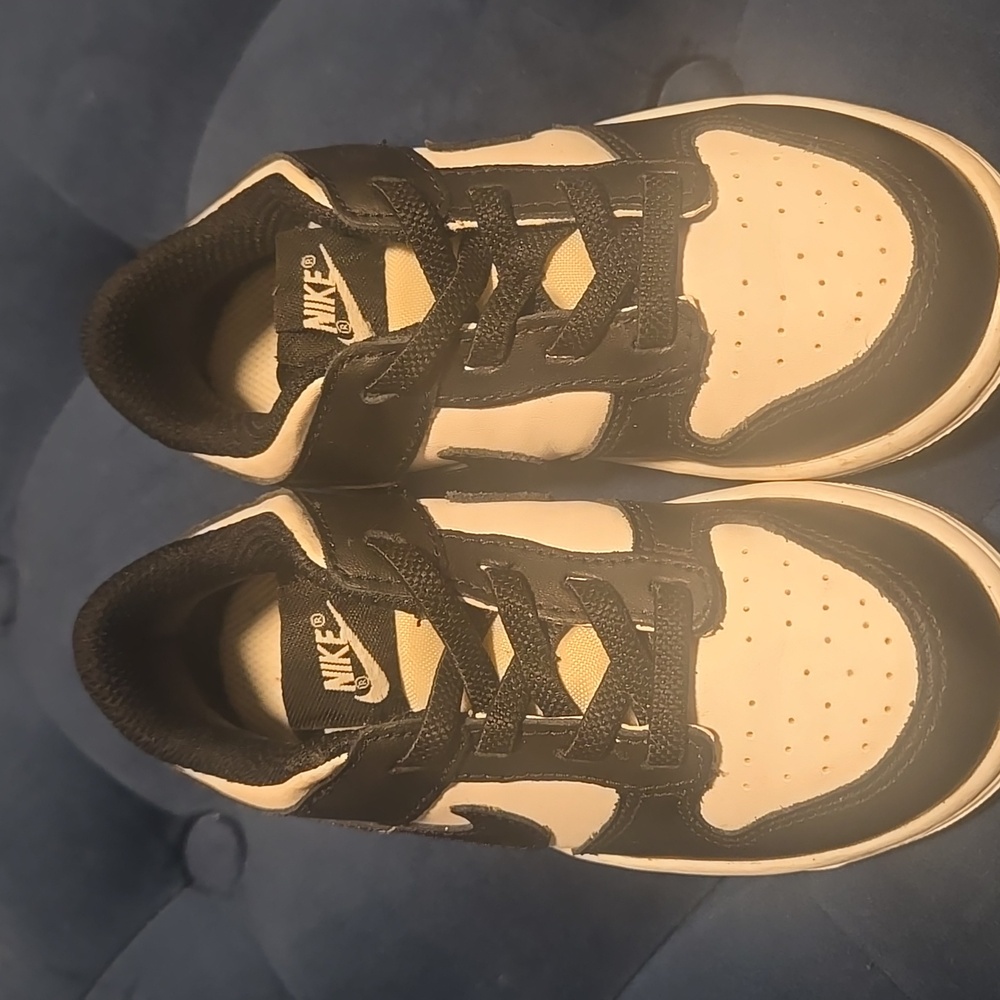 Nike Classic Black and White Sneakers